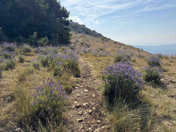 Provence hiking retreat, nature, food and wine