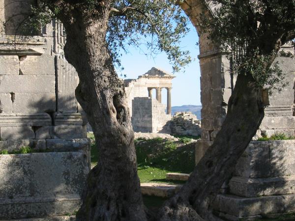 Tunisia short tour