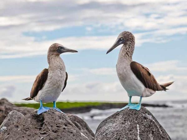 Ecuador, Galapagos and Colombia Adventure