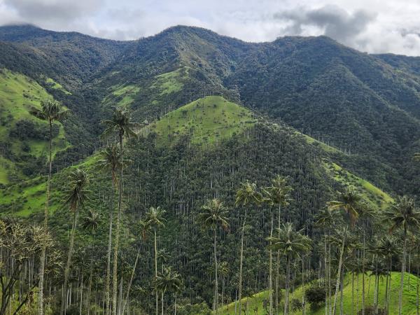 Ecuador, Galapagos and Colombia Adventure