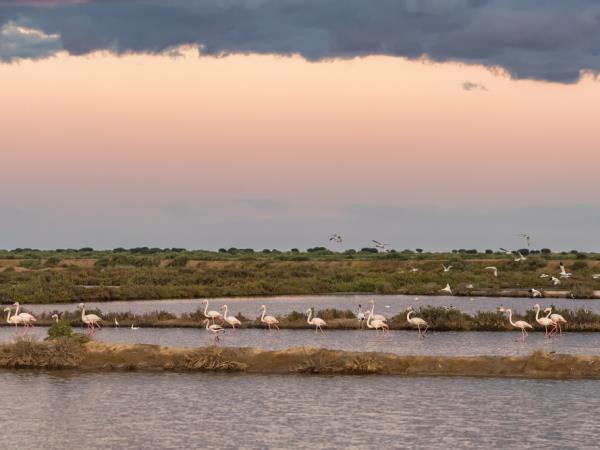 Portugal family vacation, tailor made
