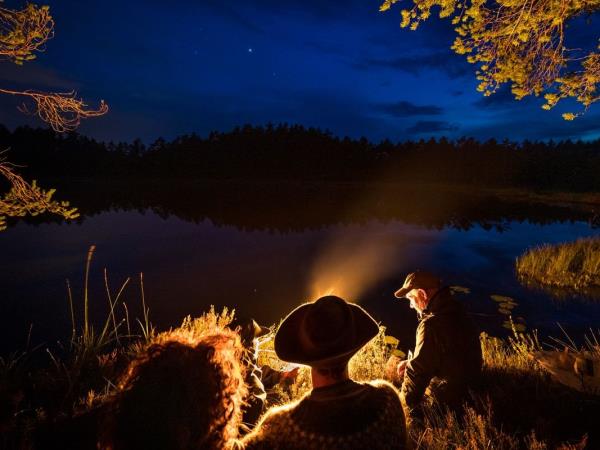 Wolf tracking in Sweden vacation