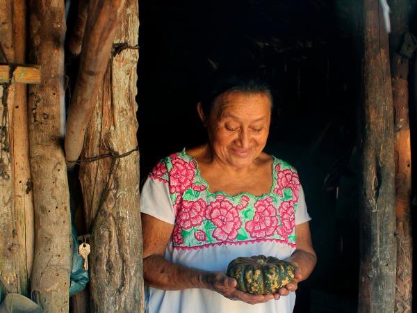 Yucatan self drive vacation in Mexico