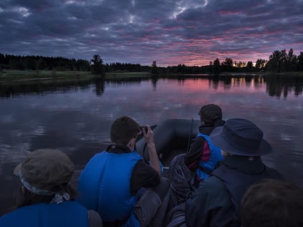 Wolves, moose and beaver vacation, tailor made