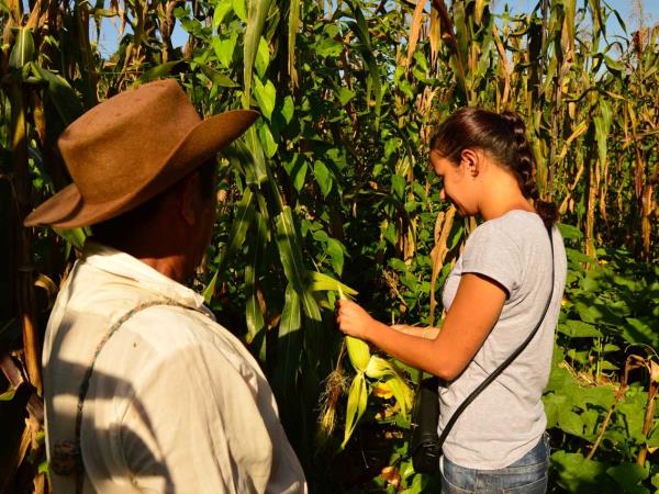 Mexico cultural vacation, tailor made