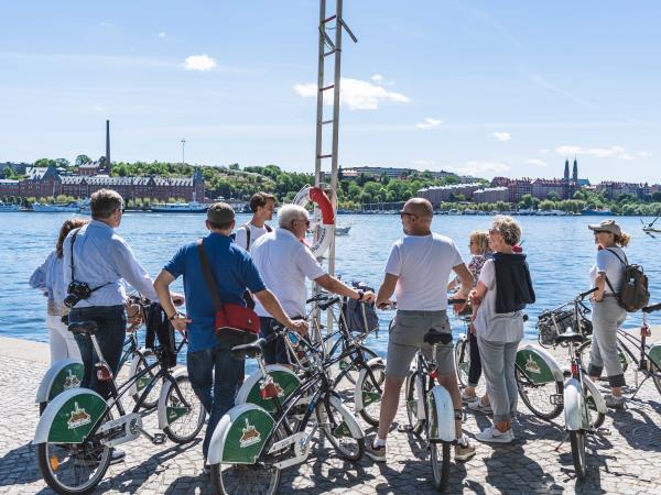 Denmark and Sweden luxury family vacation