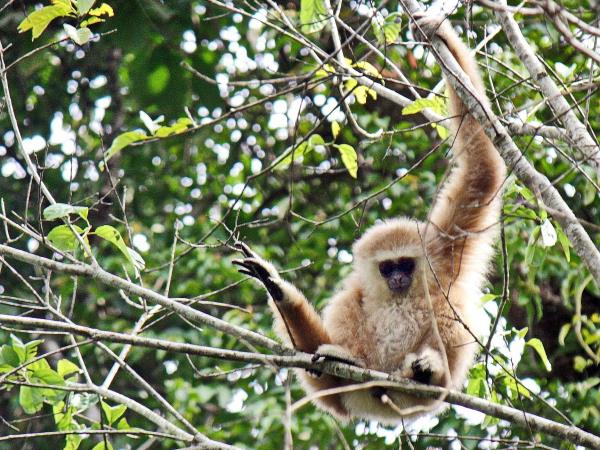 Thailand, Laos and Cambodia vacation
