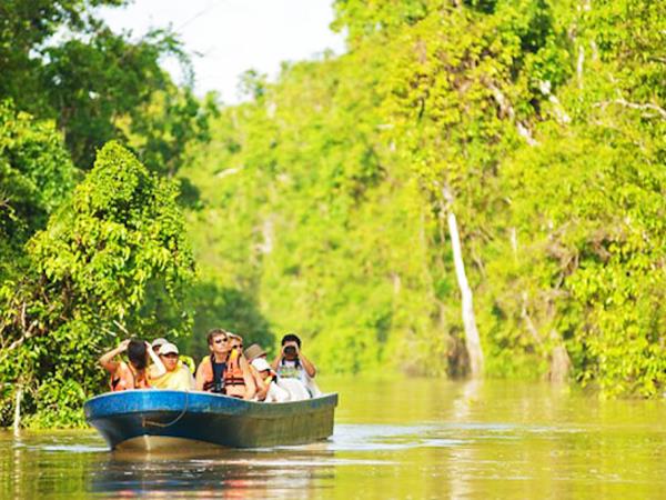 Wildlife adventure in Sabah, Borneo