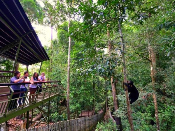Wildlife adventure in Sabah, Borneo
