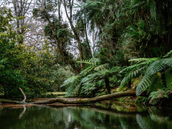 Azores vacation, tailor made