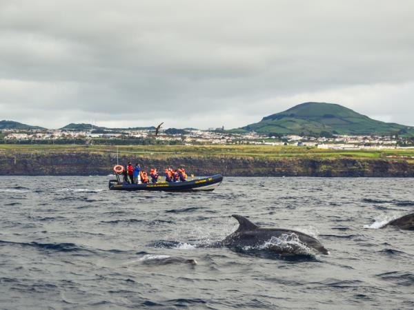 Azores vacation, tailor made