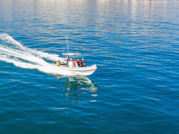 Watersports and whale watching vacation, South Africa