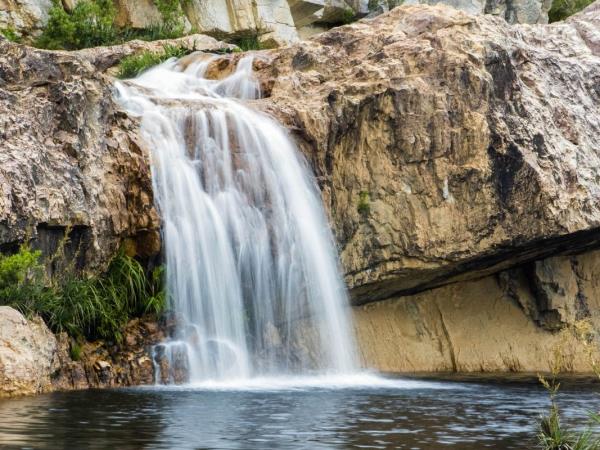 South Africa botanical holiday