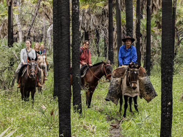 Northern Argentina wildlife vacation