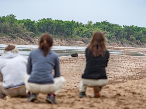 Northern Argentina wildlife vacation