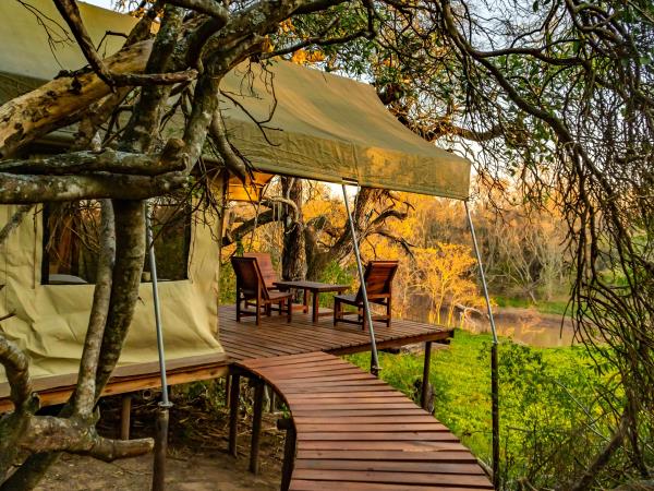 Northern Argentina wildlife vacation