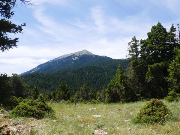 Hiking in Peloponnese vacation, Parnon Mountain