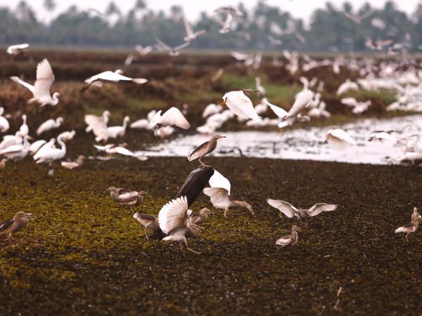 South India heritage walking tour