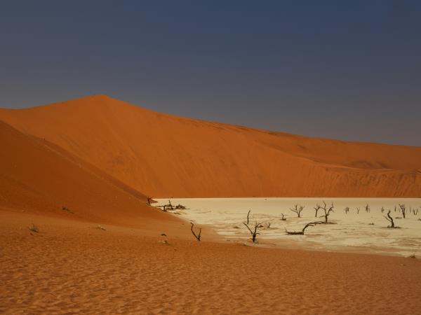 Namibia fly and drive safari