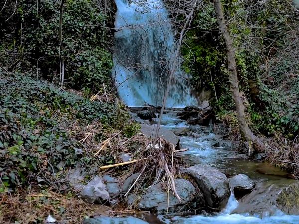Cyprus food and foraging winter vacation