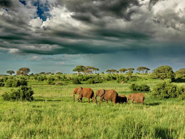 Luxury Tanzania safari & Lake Victoria