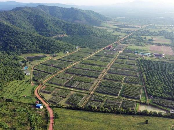 Highlights of Cambodia tour, 9 days