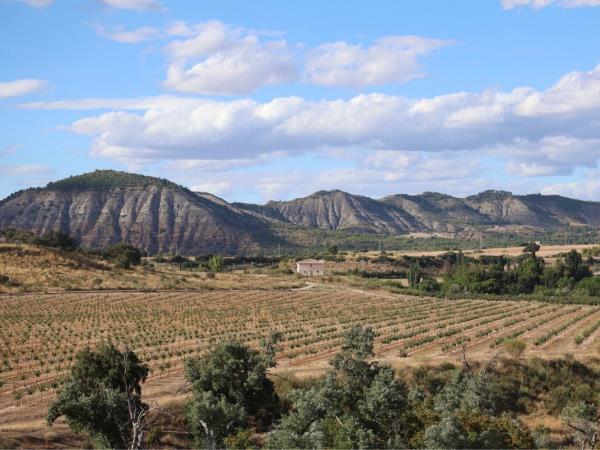 Rural yoga vacation in Spain, nr Madrid
