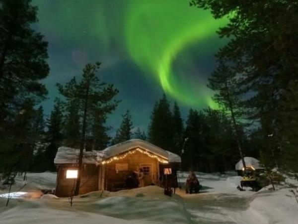 Northern Lights and wildlife vacation in Swedish Lapland
