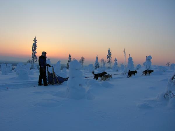 Lapland vacation, husky safari & log cottage