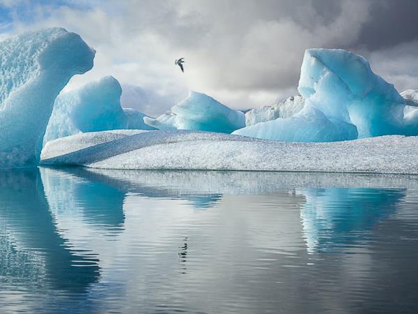 Iceland winter circular photography tour 