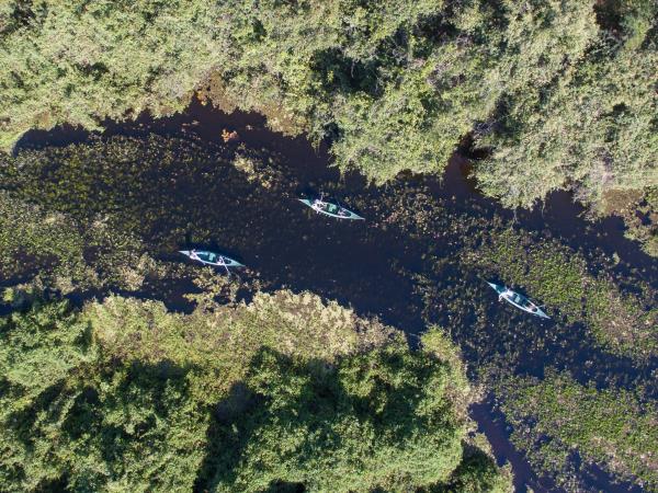 Brazil wildlife and walking vacation