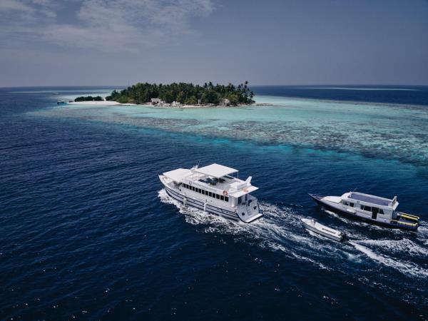 Maldives snorkelling cruise