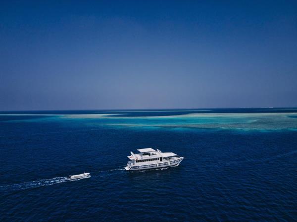 Maldives snorkelling cruise