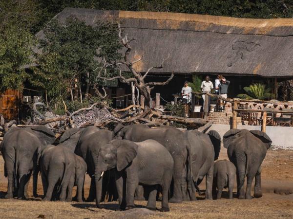Zimbabwe safari tour, tailor made