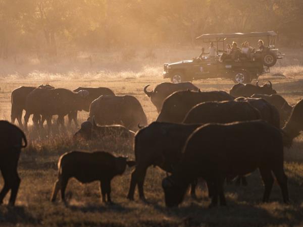 Zimbabwe safari tour, tailor made
