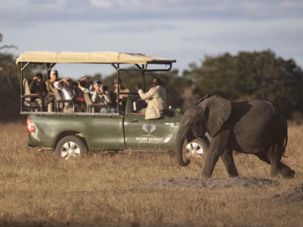 Zimbabwe safari tour, tailor made