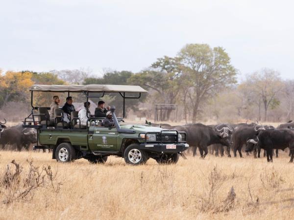 Zimbabwe safari tour, tailor made