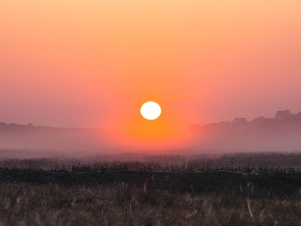 Game count safari at Hwange National Park, Zimbabwe