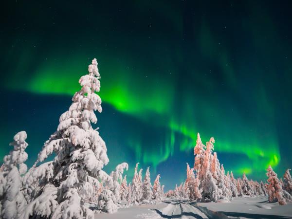 New year Northern Lights vacation, Sweden