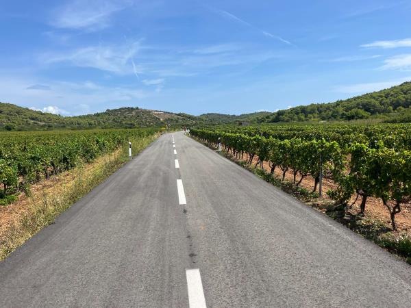 Istria cycling and food vacation, Croatia