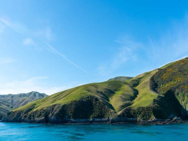 Queen Charlotte Track walking vacation