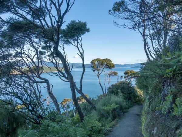 Queen Charlotte Track walking vacation