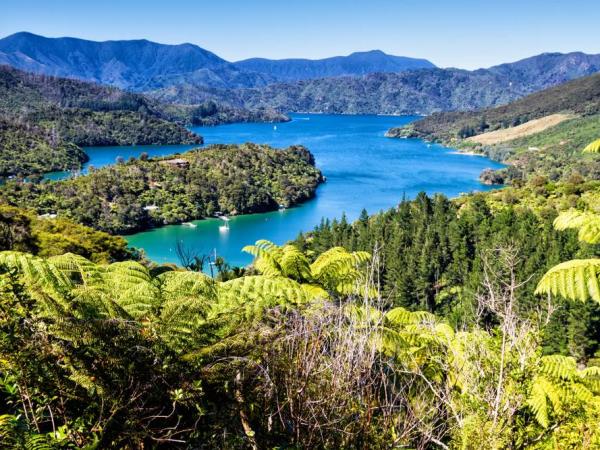 Queen Charlotte Track walking vacation