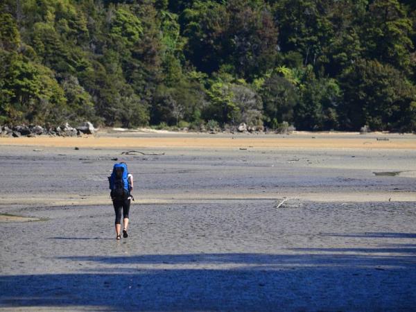 Abel Tasman walking vacation in New Zealand