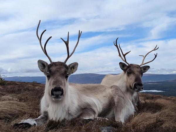 Cairngorms vacation for visually impaired travellers