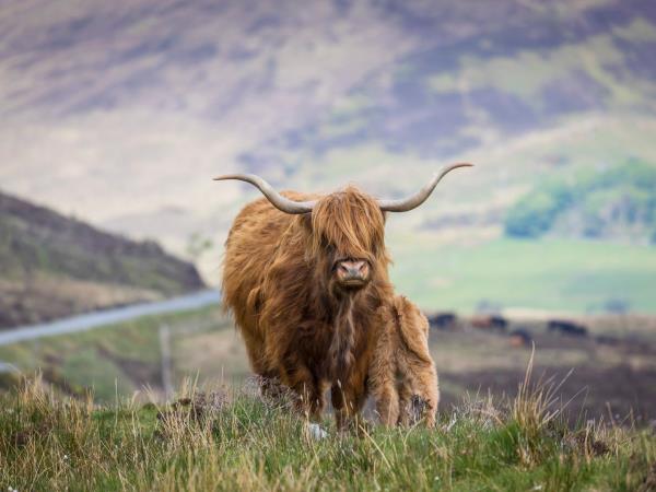 Cairngorms vacation for visually impaired travellers
