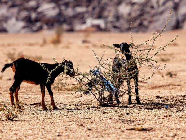 Algeria Sahara Desert small group hokiday