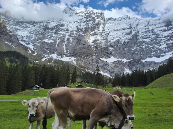 Switzerland tailor made vacation