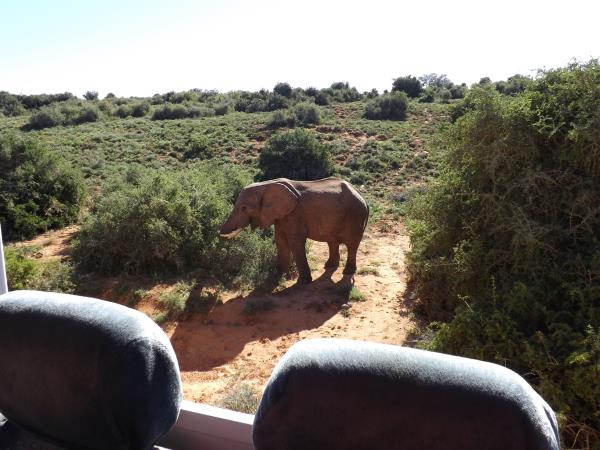 Cape Town to Johannesburg tour, South Africa
