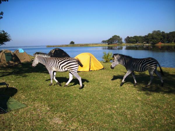 Zimbabwe to South Africa overland tour, 34 days